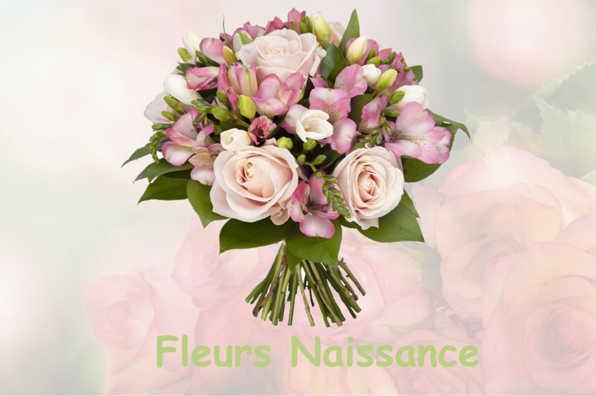 fleurs naissance TREBONS-DE-LUCHON