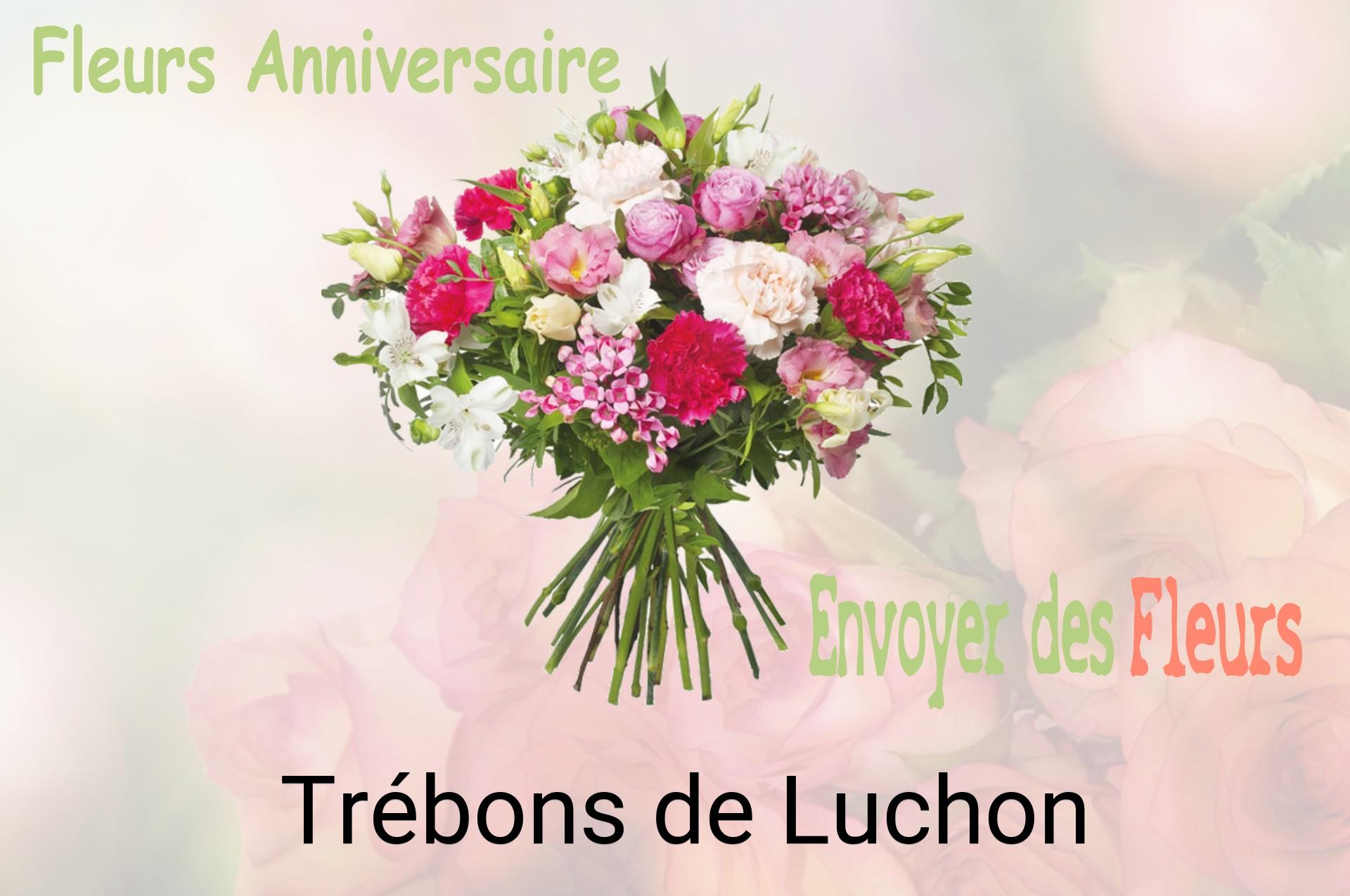 Bouquet de fleurs d’anniversaire livré à Trébons-de-Luchon