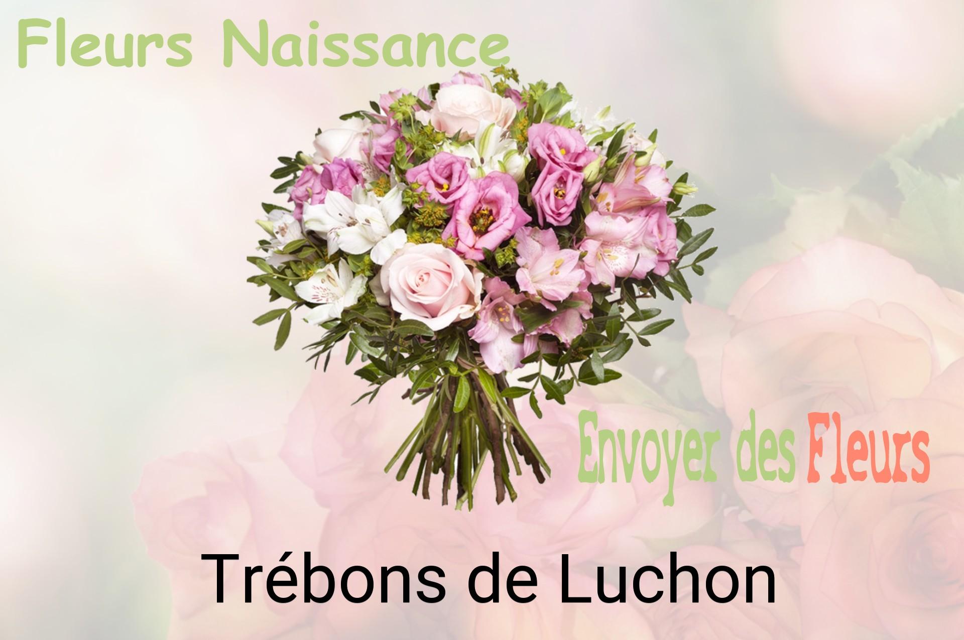 Bouquet de fleurs de naissance livré à Trébons-de-Luchon