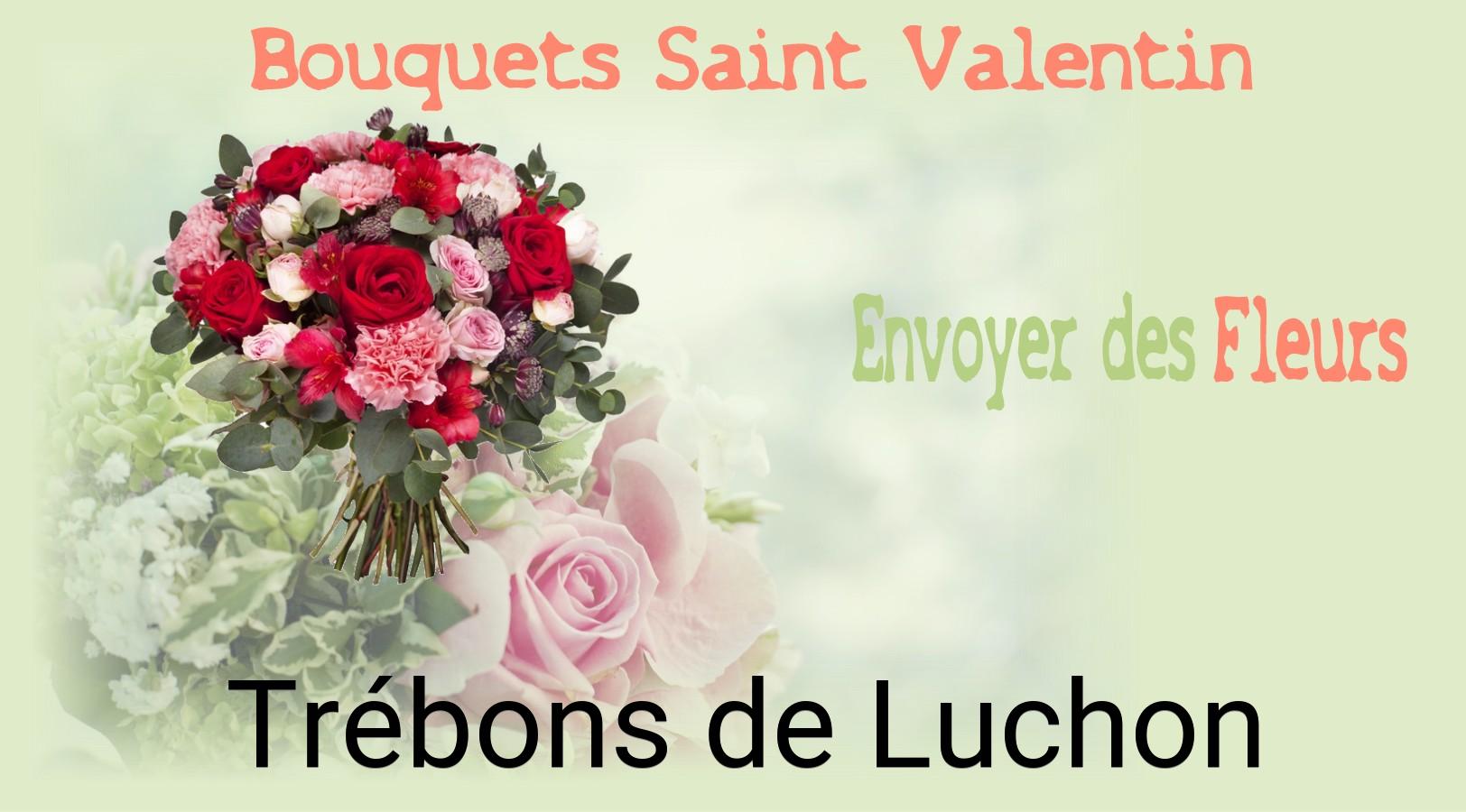 Roses de Saint-Valentin livrées à Trébons-de-Luchon