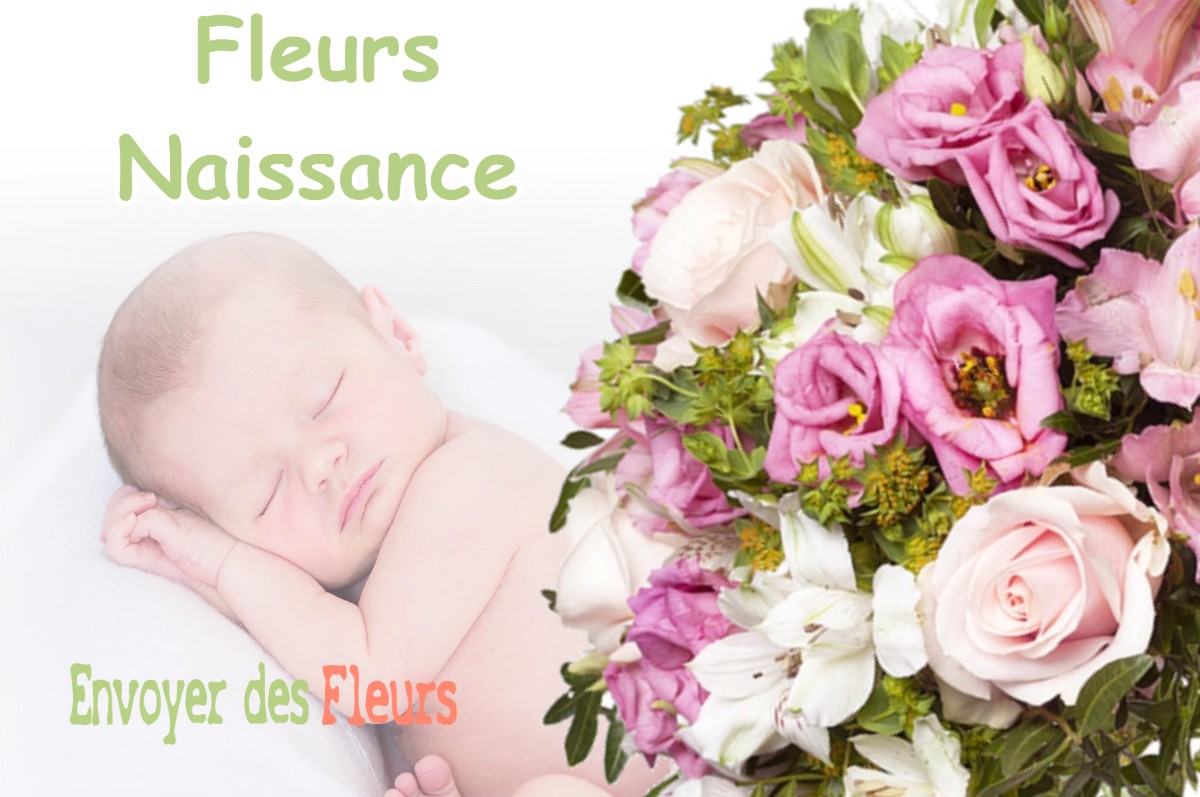 lIVRAISON FLEURS NAISSANCE à TREBONS-DE-LUCHON