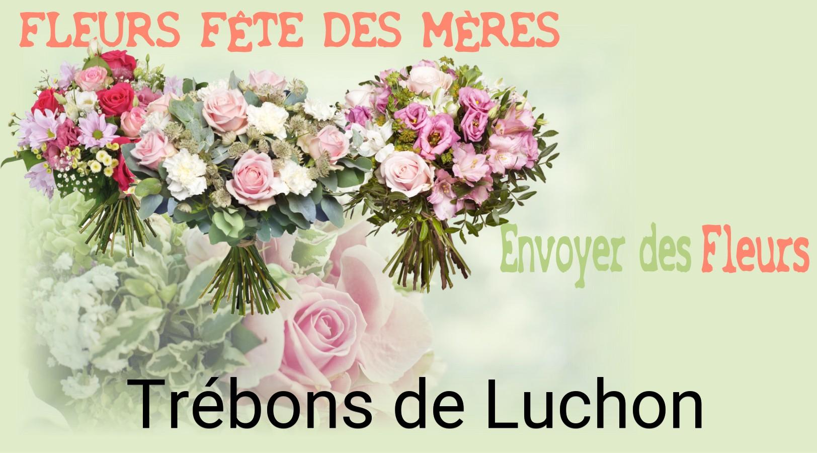 Bouquet de Fête des Mères livré à Trébons-de-Luchon